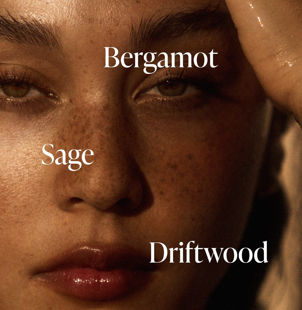 Driftwood - Body Mist