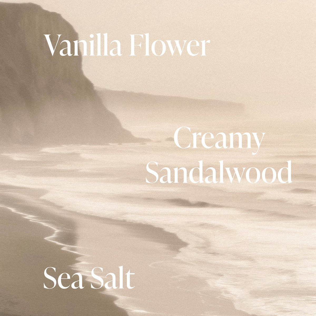 Salt Water Vanilla - Radiance Duo