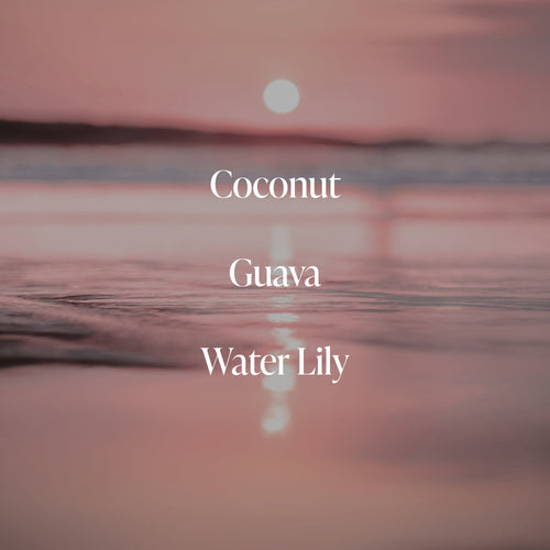 Coral Coast - Essentials Set